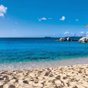 Meet your Posher, Florinda